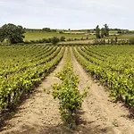 Chateau St Pierre De Serjac Puissalicon