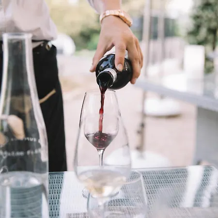 فندق Chateau St Pierre De Serjac