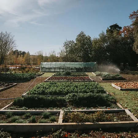 Château St Pierre De Serjac