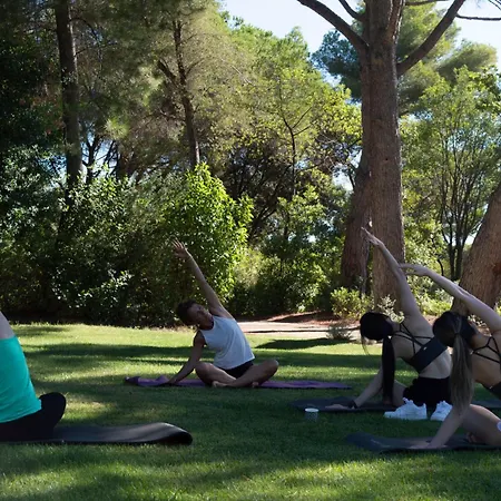 فندق Chateau St Pierre De Serjac