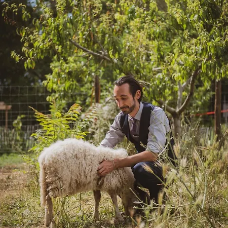 Château St Pierre De Serjac Puissalicon