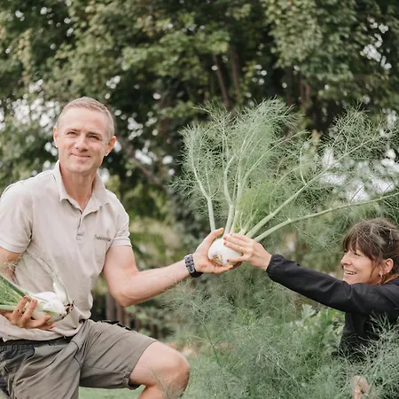 فندق Chateau St Pierre De Serjac