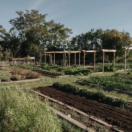 Chateau St Pierre De Serjac 4*