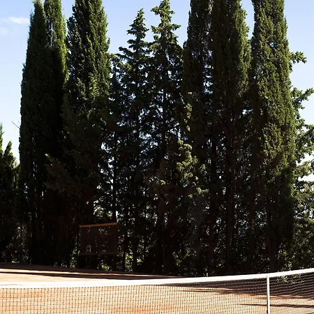 Chateau St Pierre De Serjac