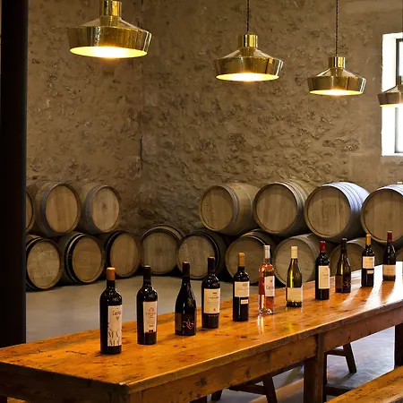 Chateau St Pierre De Serjac فندق