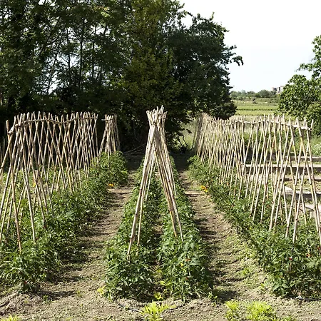 Hotel Château St Pierre De Serjac Puissalicon
