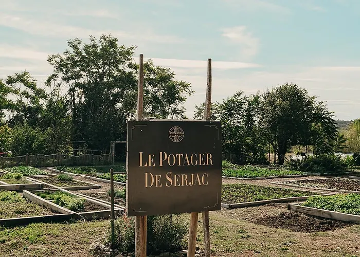 Chateau St Pierre De Serjac Puissalicon