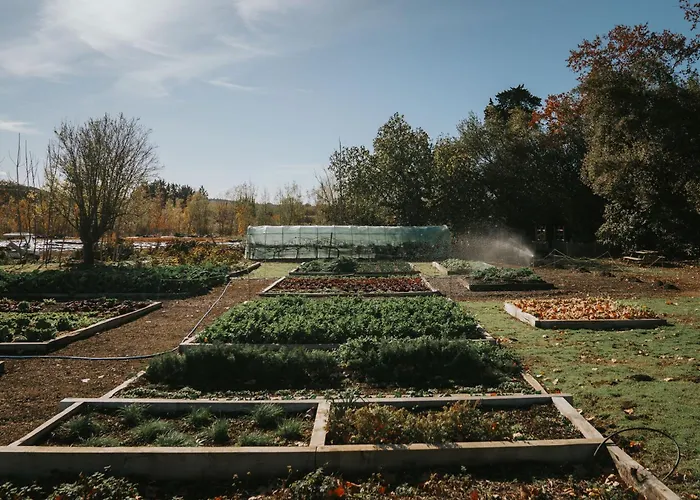 Château St Pierre De Serjac