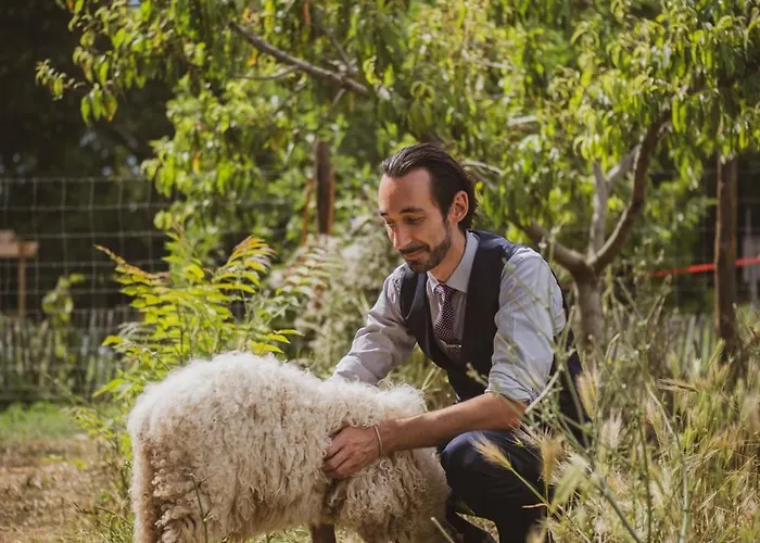 Château St Pierre De Serjac Puissalicon