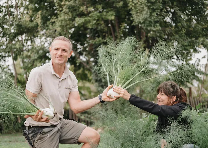 Hotel Château St Pierre De Serjac