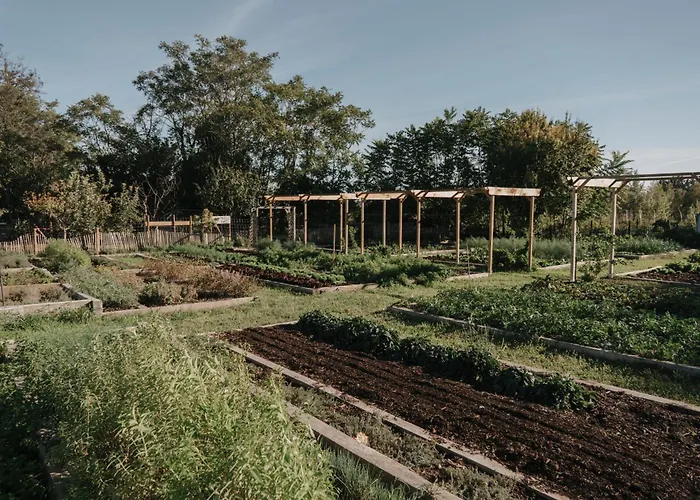 Château St Pierre De Serjac 4*