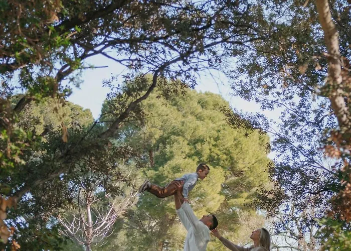 Chateau St Pierre De Serjac