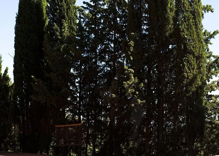 Chateau St Pierre De Serjac