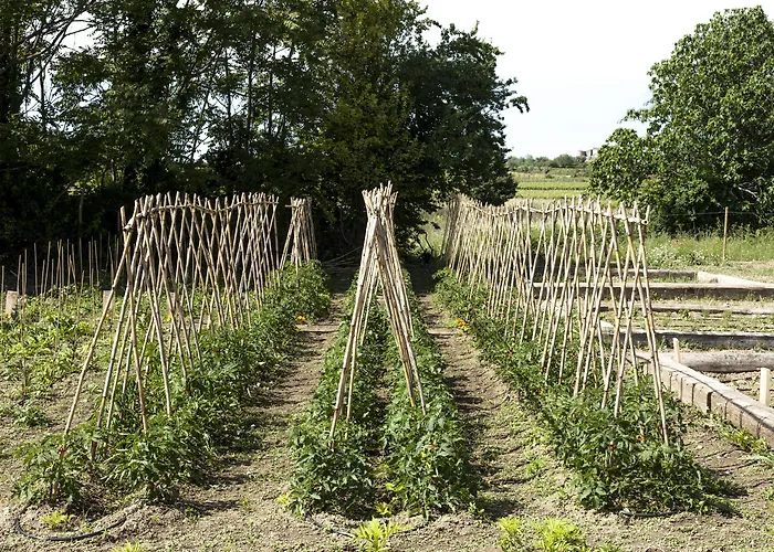 Hotel Chateau St Pierre De Serjac Puissalicon